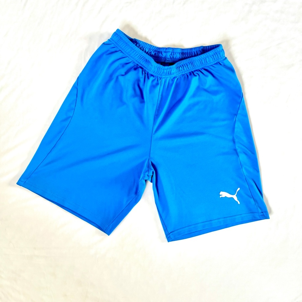 Men's Small blue Puma shorts